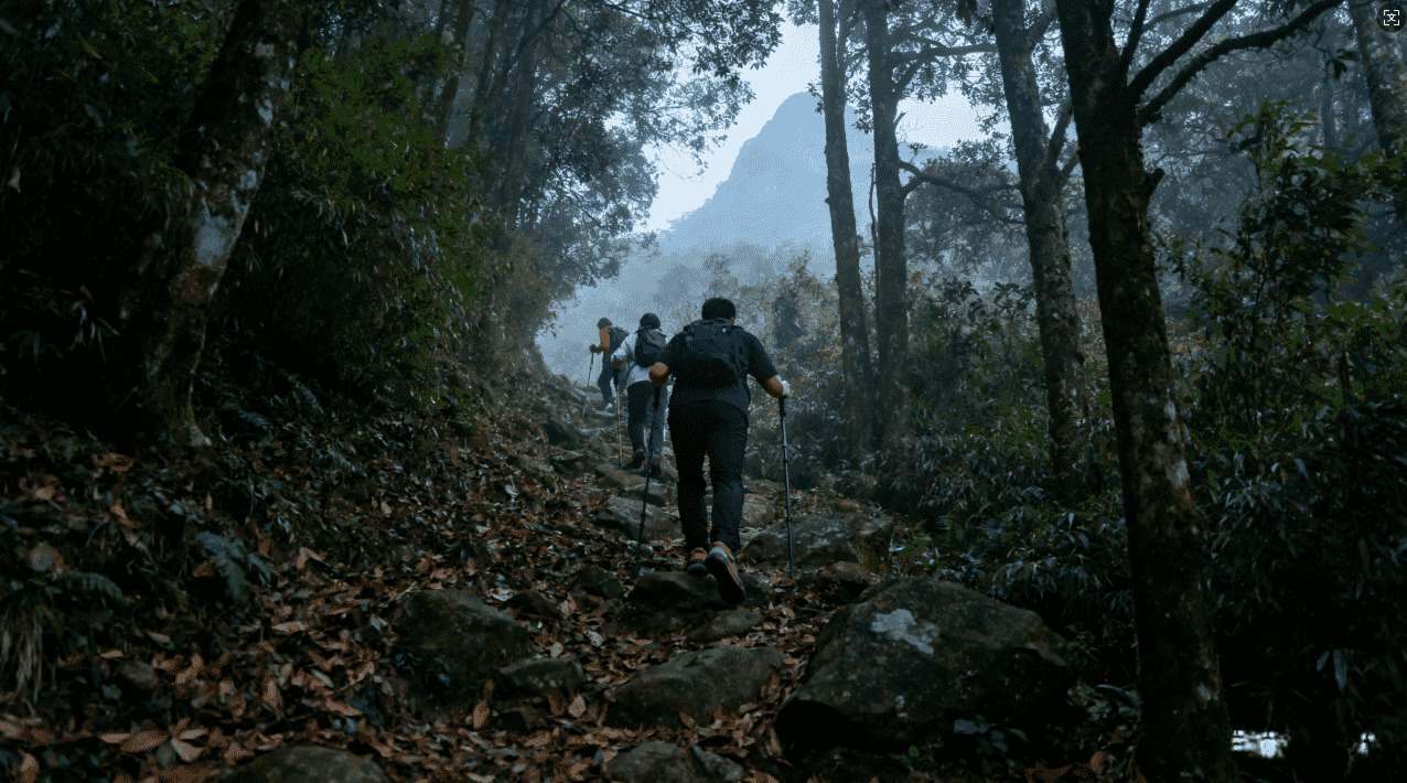 如何使用VPN加速器轻松实现流畅爬墙